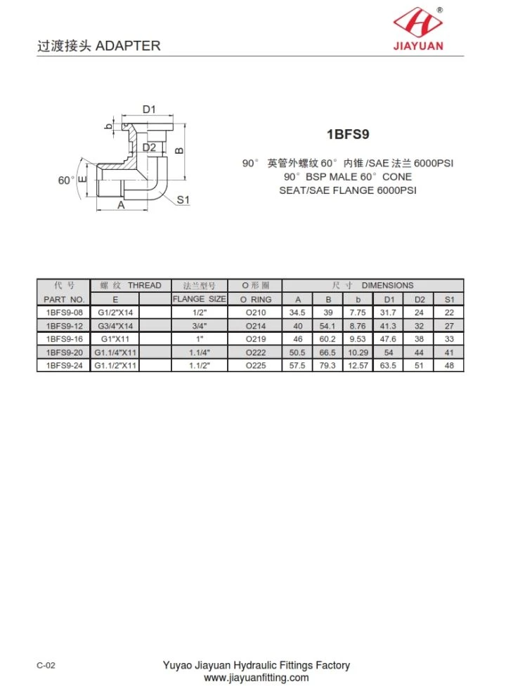 SAE 6000 bride koud BSP 60 adaptè