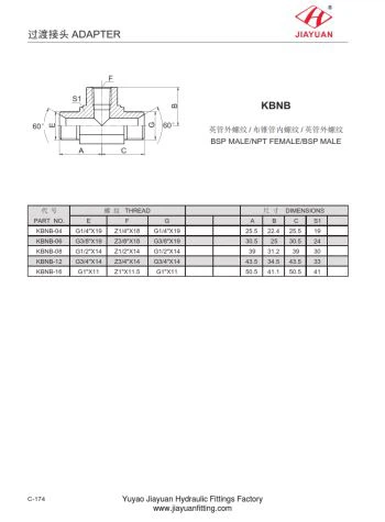 BSP Gason 60 NPT Tee Fi