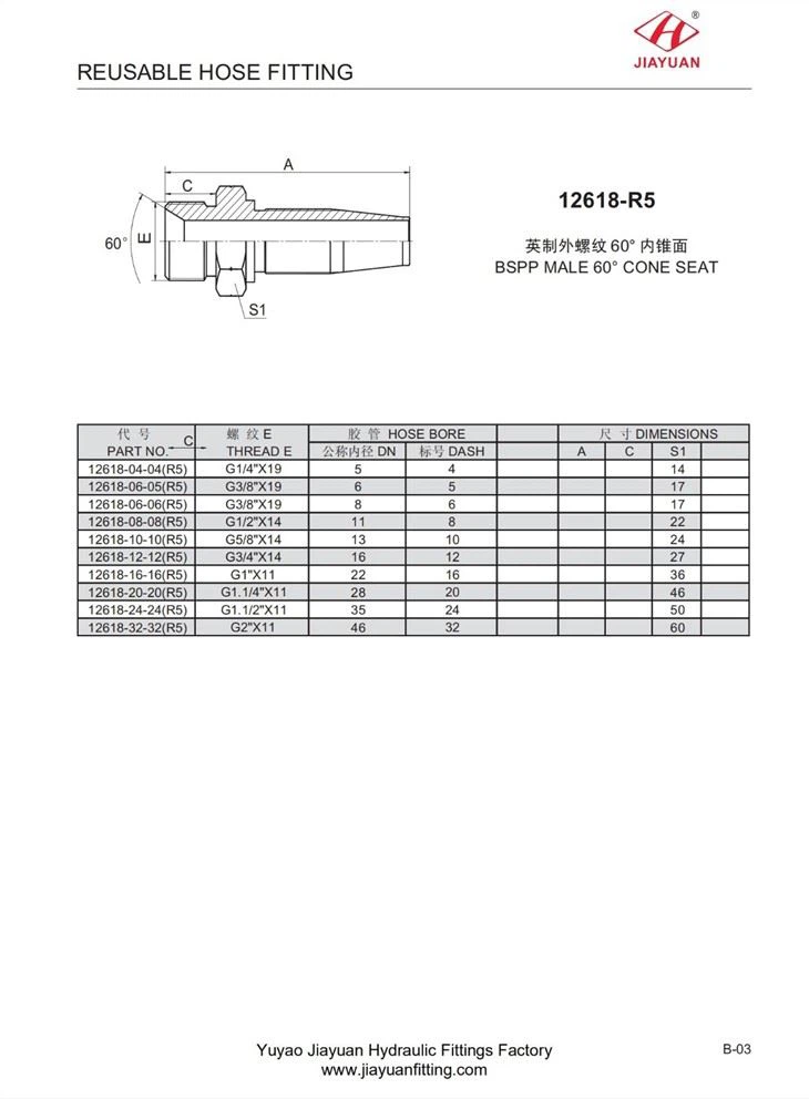 BSPP Reusable Hose Fittings